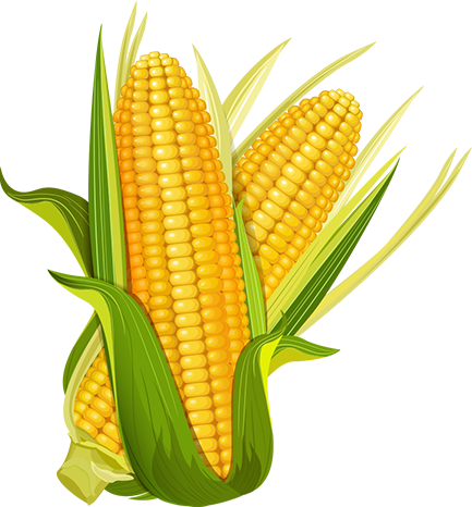 Quality Agricultural Products
